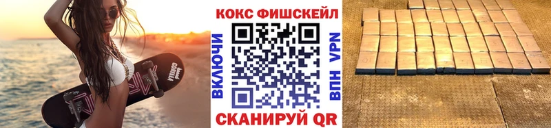 Купить закладки  Сергач  COCAIN FishScale 