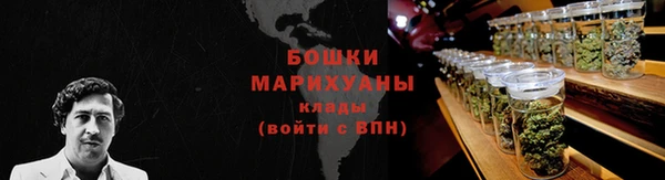 прущие грибы Алзамай