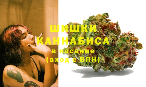 сатива Алексеевка