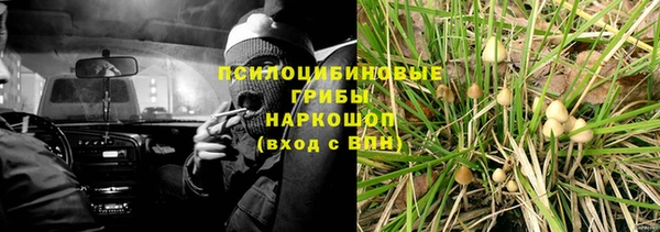 сатива Алексеевка