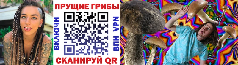 Псилоцибиновые грибы мухоморы  Купить закладки  Сергач 